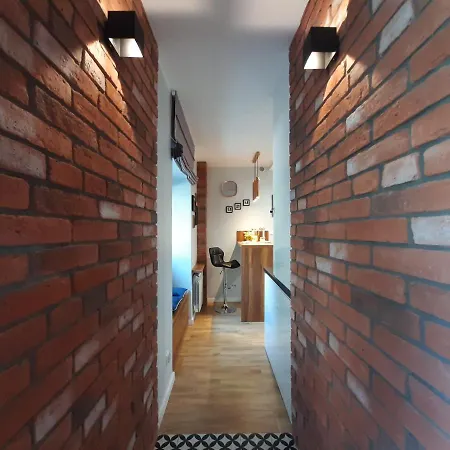 公寓 Cracowapart Ignacio B 克拉科夫