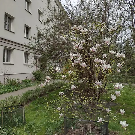 Cracowapart Ignacio B