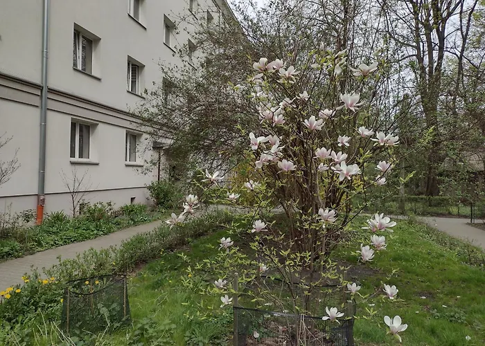 Cracowapart Ignacio B