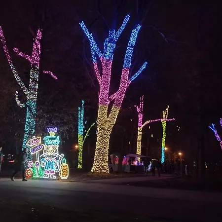 Cracowapart Ignacio B شقة *